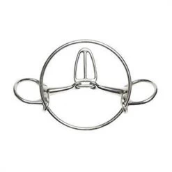 Serena Song Dexter Racing Bit