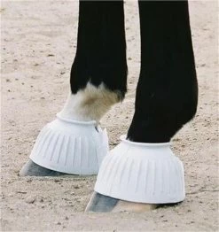 Horse Supplies Store -Horse Supplies Store 17469