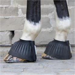 Horse Supplies Store -Horse Supplies Store 17488