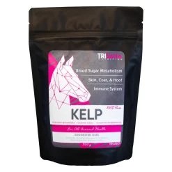 Trisana Kelp 300 G