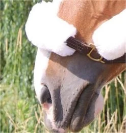 Shedrow Sheepskin Nose Cover -Horse Supplies Store 28013