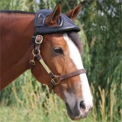 Cashel Horse Helmet 7 Cashel Horse Helmet -Horse Supplies Store 28153