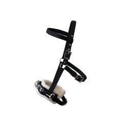 Supra Lunge Cavesson