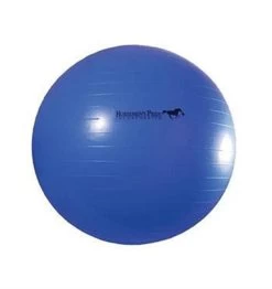 Horsemen's Pride Mega Ball 40 In.