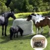 Large Slow Bale Buddy -Horse Supplies Store 28422
