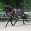 Mondega Lunging System -Horse Supplies Store 29771