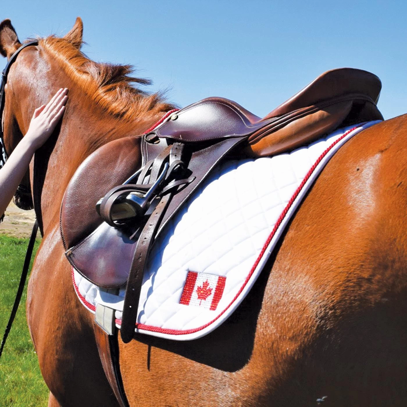 Shedrow Canadian Flag Saddle Pad 4 Shedrow Canadian Flag Saddle Pad - Image 2