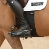 EquiFit BellyBand -Horse Supplies Store 30184