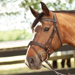 Mondega Natasha Rose Gold Sparkle Bridle -Horse Supplies Store 30327