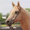 Copper Canyon Finished Leather Double Ear Headstall W/ Chicago Screws -Horse Supplies Store 30949