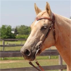 Copper Canyon Finished Leather V Browband Headstall W/ Chicago Screws