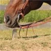 Copper Canyon Harness Leather Training Reins W/ Heavy End -Horse Supplies Store 30966