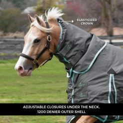 Swift Hood -Horse Supplies Store 46158