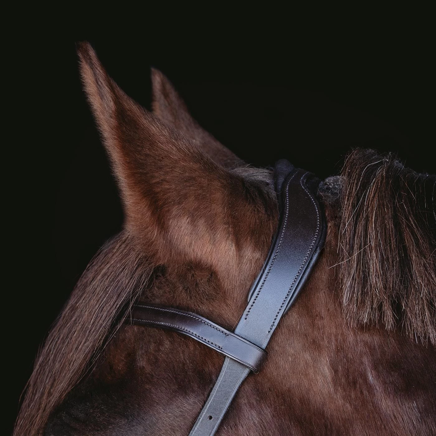 Val Du Bois Ergonomic Pressure Relief Bridle 4 Val Du Bois Ergonomic Pressure Relief Bridle - Image 2