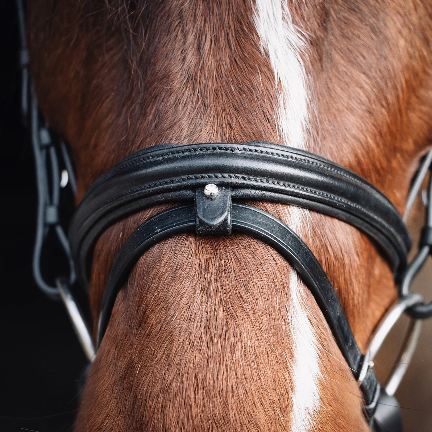 Val Du Bois Padded Dressage Bridle W/ Removable Flash 5 Val Du Bois Padded Dressage Bridle W/ Removable Flash - Image 3