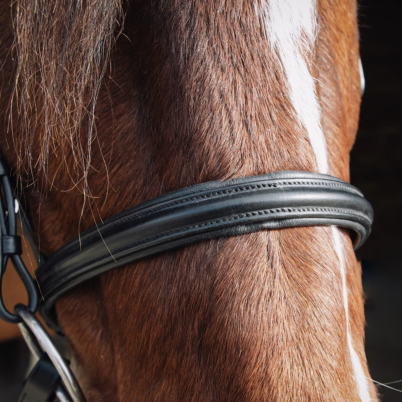 Val Du Bois Padded Dressage Bridle W/ Removable Flash 6 Val Du Bois Padded Dressage Bridle W/ Removable Flash - Image 4