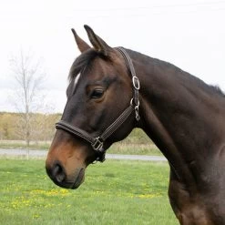 Mondega Raised Fancy Stitched Halter -Horse Supplies Store 52818