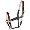 Waldhausen X-Line Rose Gold Leather Halter 2 Waldhausen X-Line Rose Gold Leather Halter -Horse Supplies Store 54270