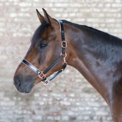 Waldhausen X-Line Rose Gold Leather Halter -Horse Supplies Store 54271