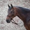 Waldhausen Lindell Bitless Bridle -Horse Supplies Store 54297