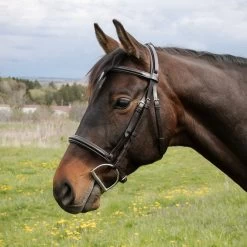 Val Du Bois Comfort Crown Padded Bridle -Horse Supplies Store 56440