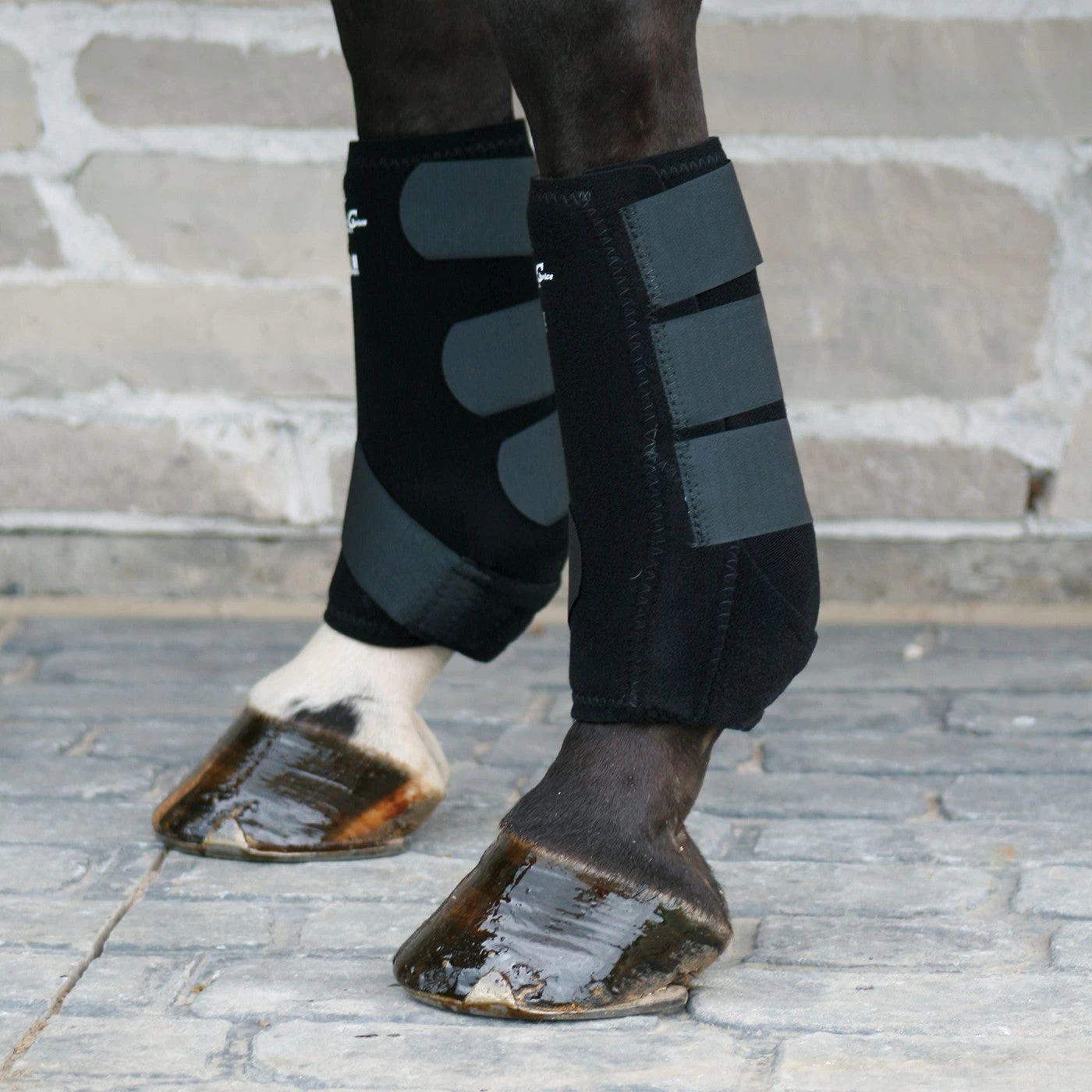 Professional's Choice SMBII - 200 4 Professional's Choice SMBII - 200 - Image 2