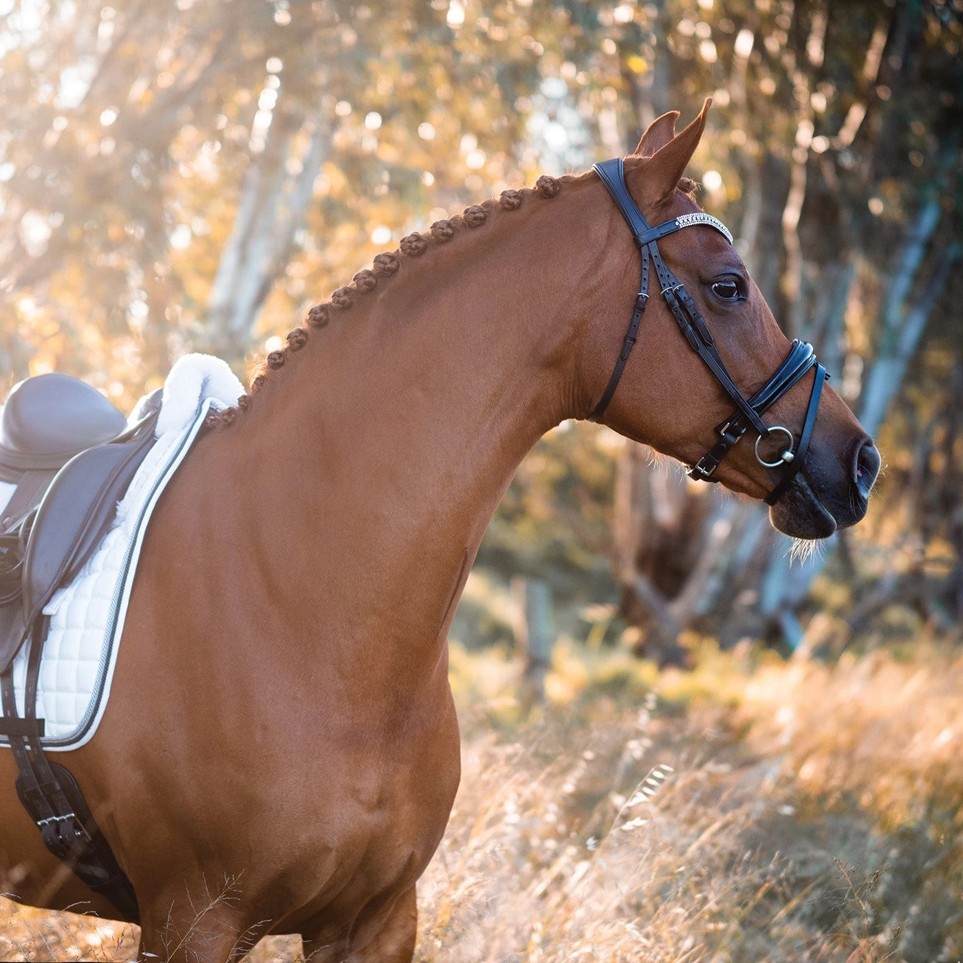 FFE Couture Patent Dressage Snaffle Bridle 16 FFE Couture Patent Dressage Snaffle Bridle - Image 14