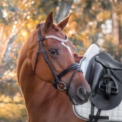 FFE Couture Patent Dressage Snaffle Bridle 33 FFE Couture Patent Dressage Snaffle Bridle -Horse Supplies Store 64295