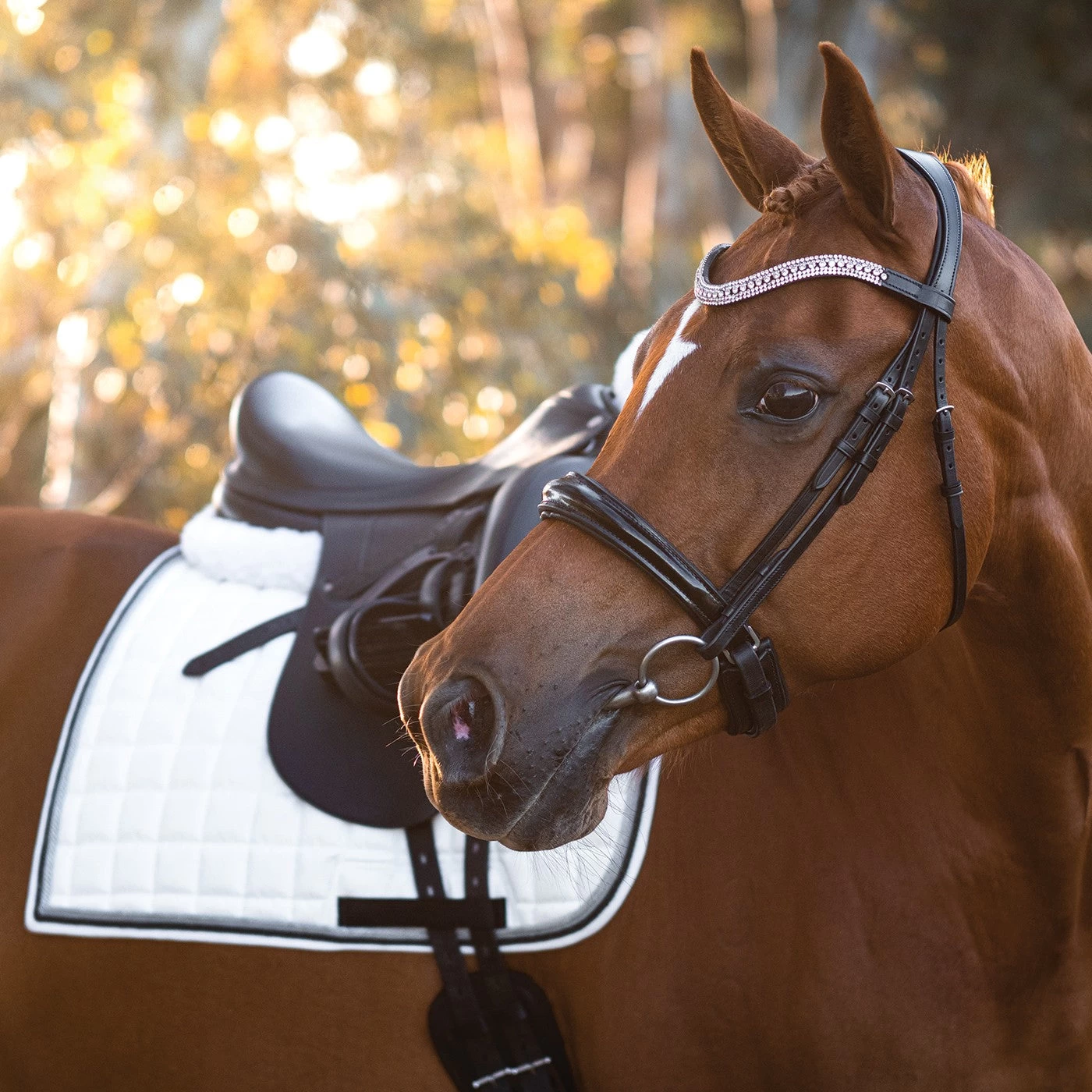 FFE Couture Patent Dressage Snaffle Bridle 18 FFE Couture Patent Dressage Snaffle Bridle - Image 16