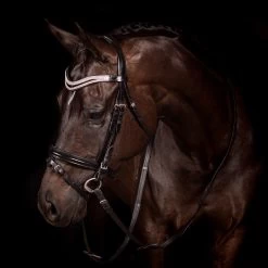 FFE Split Wave Dressage Snaffle Bridle -Horse Supplies Store 64322