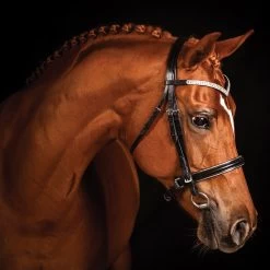 FFE Crystal V Silver Piping Dressage Snaffle Bridle -Horse Supplies Store 64335