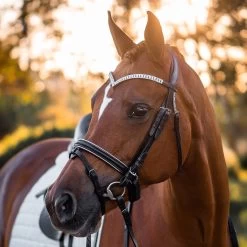 FFE Crystal V Silver Piping Dressage Snaffle Bridle -Horse Supplies Store 64336