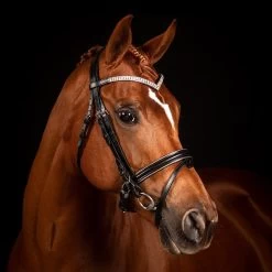 FFE Crystal V Silver Piping Dressage Snaffle Bridle -Horse Supplies Store 64351