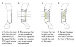 Woof Wear Double Lock Brushing Boots 7 Woof Wear Double Lock Brushing Boots -Horse Supplies Store 64612