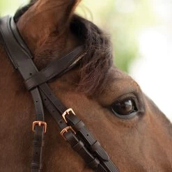 Mondega Natasha Rose Gold Sparkle Bridle -Horse Supplies Store 65764