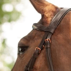 Mondega Natasha Rose Gold Sparkle Bridle -Horse Supplies Store 65765