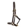 Val Du Bois Convertible Leather Grooming Halter