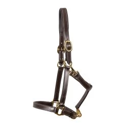 Val Du Bois Convertible Leather Grooming Halter