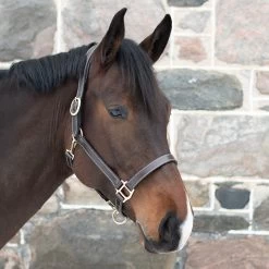 Val Du Bois Convertible Leather Grooming Halter -Horse Supplies Store 68361