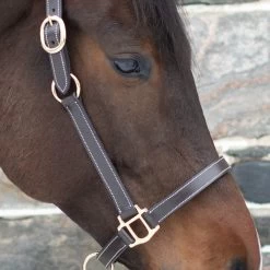 Val Du Bois Convertible Leather Grooming Halter -Horse Supplies Store 68362
