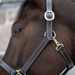 Val Du Bois Convertible Leather Grooming Halter -Horse Supplies Store 68363