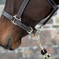 Val Du Bois Convertible Leather Grooming Halter -Horse Supplies Store 68364