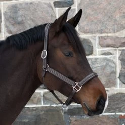 Mondega Raised Fancy Stitched Halter -Horse Supplies Store 68370