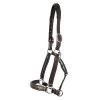 Mondega Raised Fancy Stitched Halter -Horse Supplies Store 68630