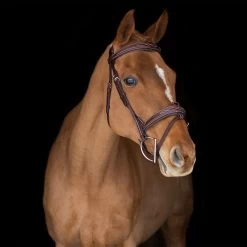 Horse Supplies Store 29 Mondega Liberica Fancy Stitched Hunter Bridle