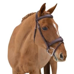 Horse Supplies Store -Horse Supplies Store 68947