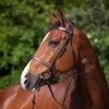 Riding World Muserolle Francaise Flat Leather Bridle