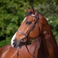 Riding World Muserolle Francaise Flat Leather Bridle