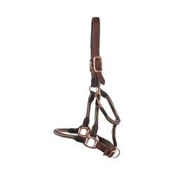 Shedrow Rose Gold Nylon & Leather Halter