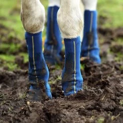 Equilibrium Equi-Chaps Close Contact 13 Equilibrium Equi-Chaps Close Contact -Horse Supplies Store 77020